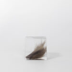 Buddy pet memorial keepsakes. Resin cube fur memorial.