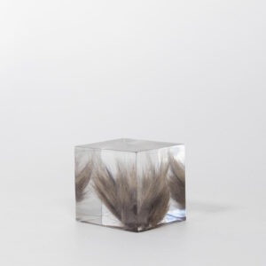 Buddy pet memorial keepsakes. Resin cube fur memorial.