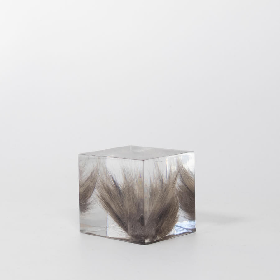 Buddy pet memorial keepsakes. Resin cube fur memorial.