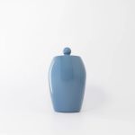 Buddy pet urn. Image of glazed tall urn in ocean.