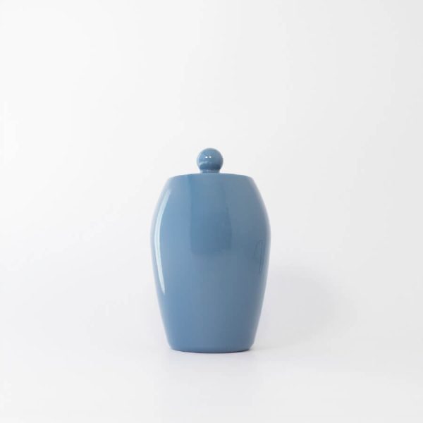 Buddy pet urn. Image of glazed tall urn in ocean.