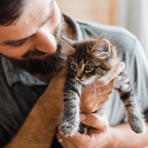 Bearded man is looking down and smiling at a small kitten. Pet cremation services.