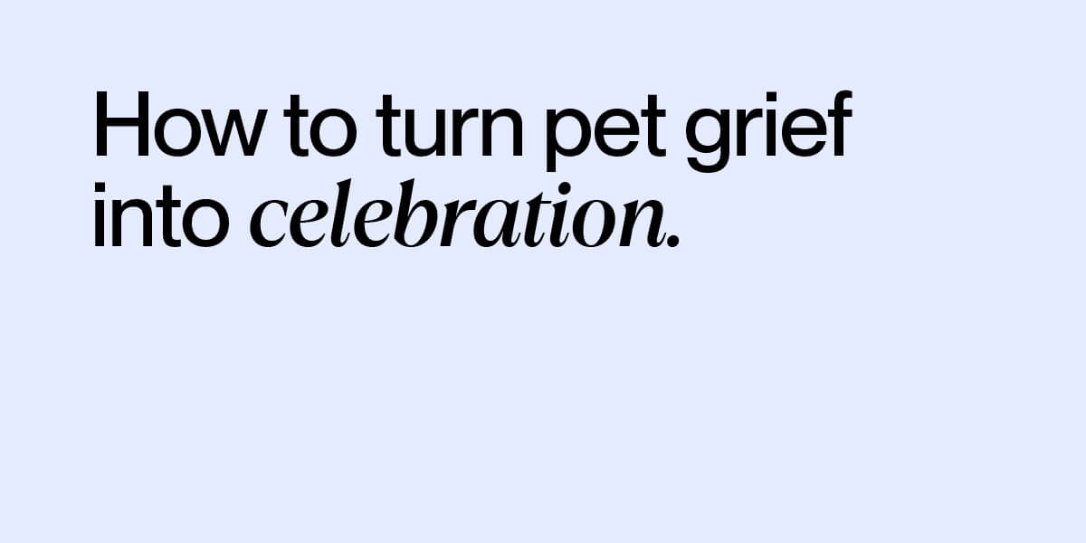 How to turn pet grief into celebration. Buddy support resources for pet loss.