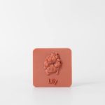 Pet memorial keepsake. 3D print memorial in terracotta.