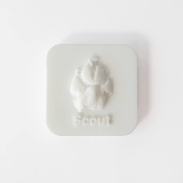 Pet memorial keepsake. 3D print memorial in white.