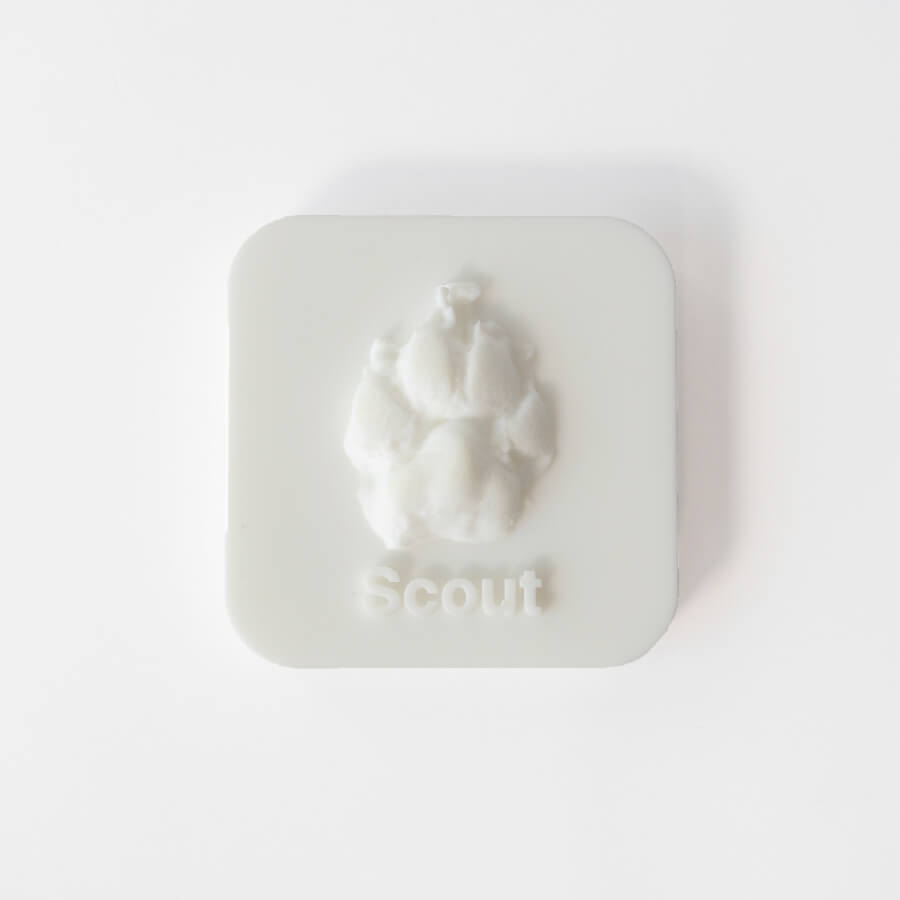 Pet memorial keepsake. 3D print memorial in white.