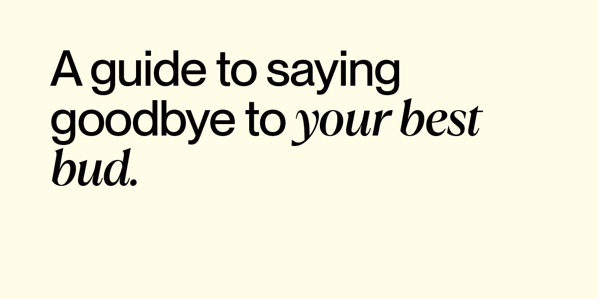 A guide to saying goodbye to your pet. Buddy support resources for pet grief and pet loss.