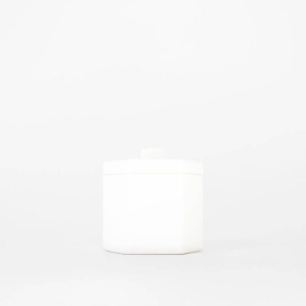 Buddy pet cremation urn. Image of contemporary hex urn in white.