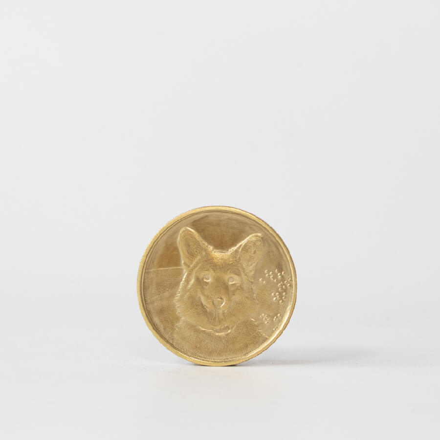Pet keepsake. Engraved portrait coin in brass.