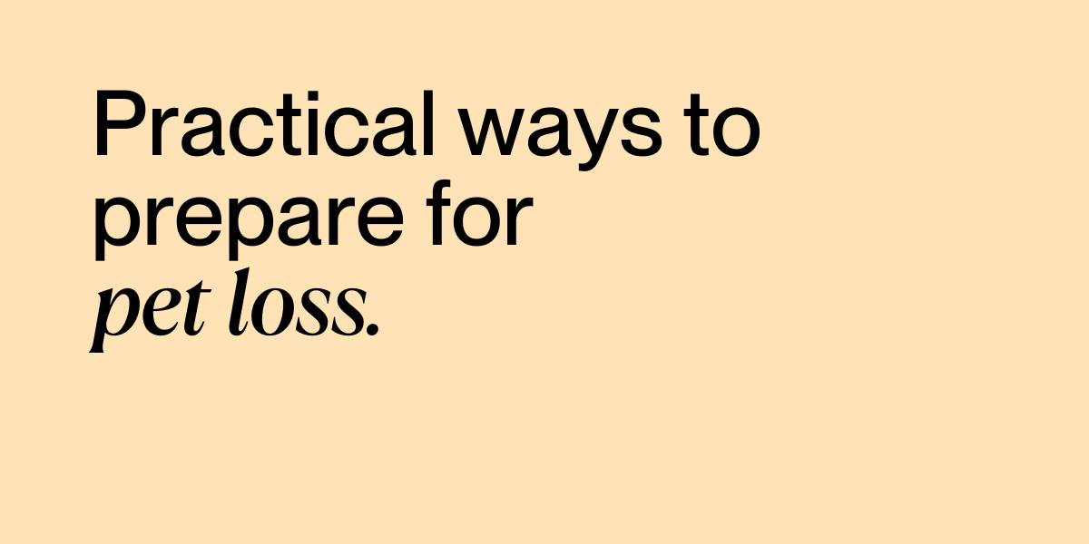 Practical ways to prepare for pet loss.