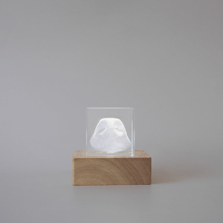 Pet memorial keepsake. 3D crystal nose print memorial in white.