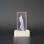 Pet memorial keepsake. 3D crystal paw print memorial in multi.