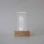 Pet memorial keepsake. 3D crystal paw print memorial in white.