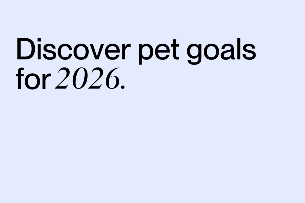 Discover Pet Goals for 2206 with Buddy