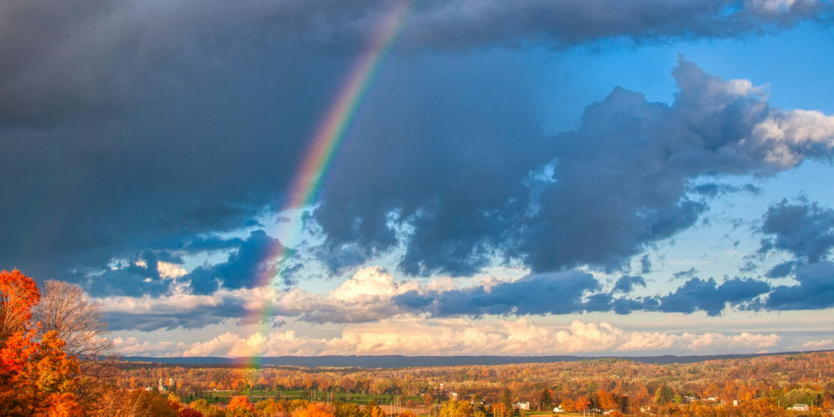 Rainbow Bridge and pet loss - rainbow over field