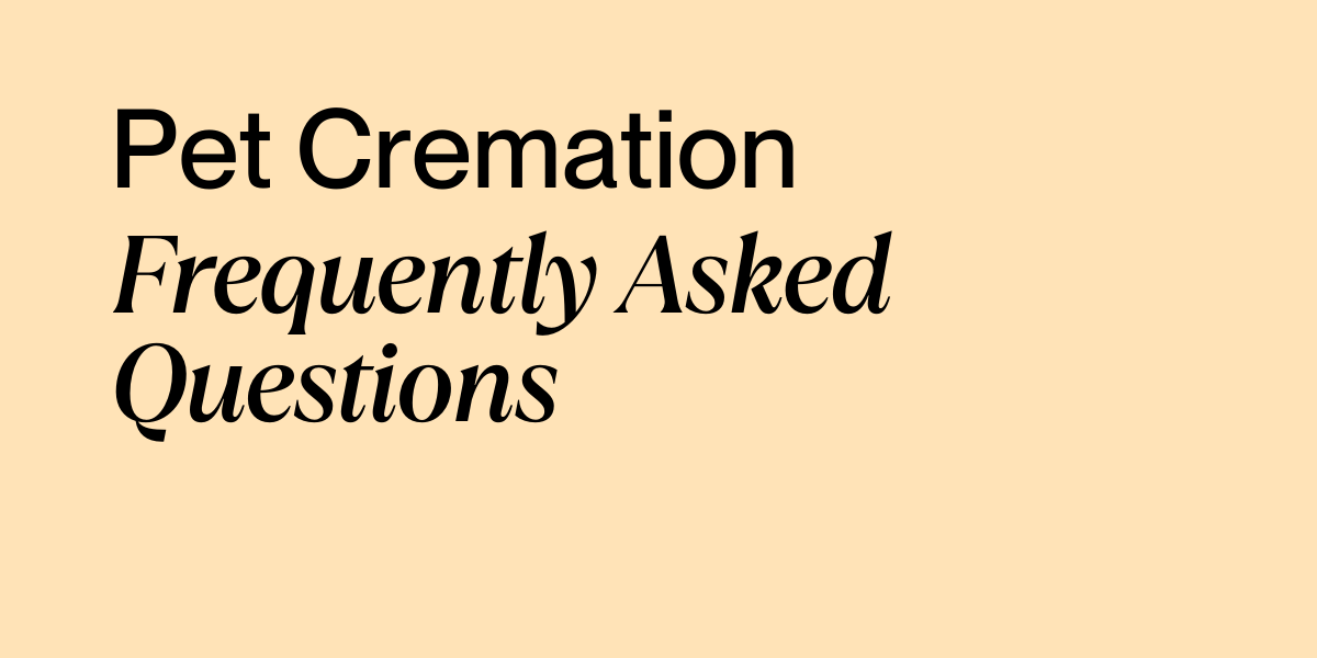 Buddy Pet Cremation - Frequently Asked Questions blog