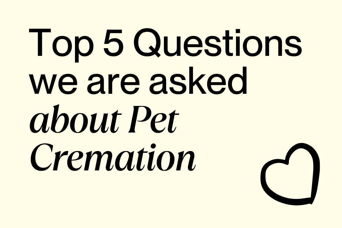 Top 5 Questions about Pet Cremation