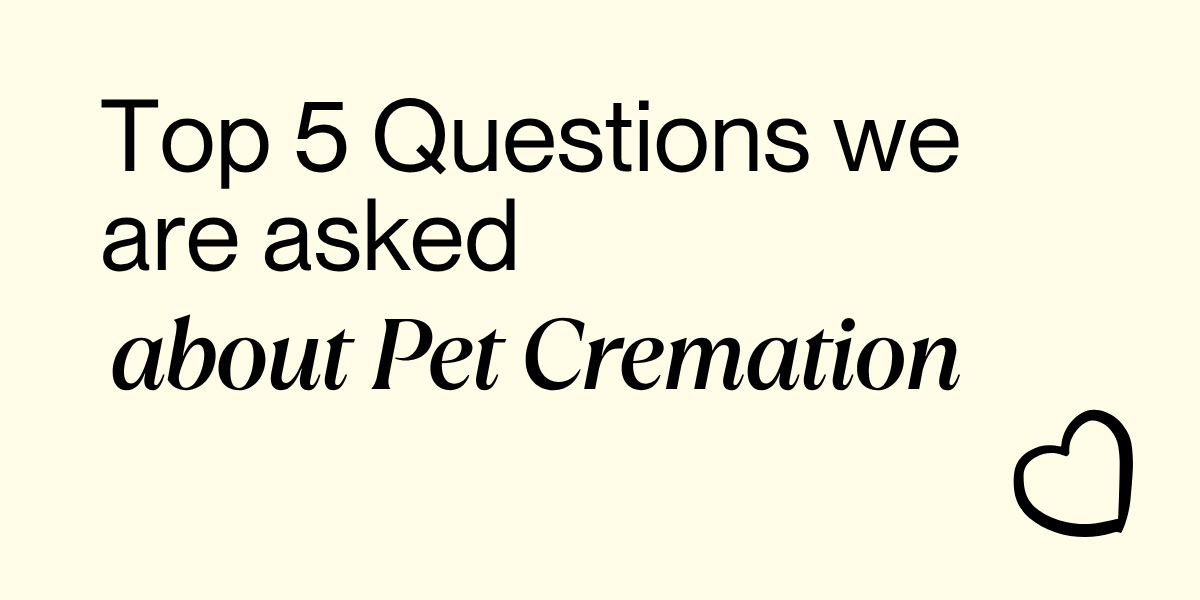 Top 5 Questions about Pet Cremation